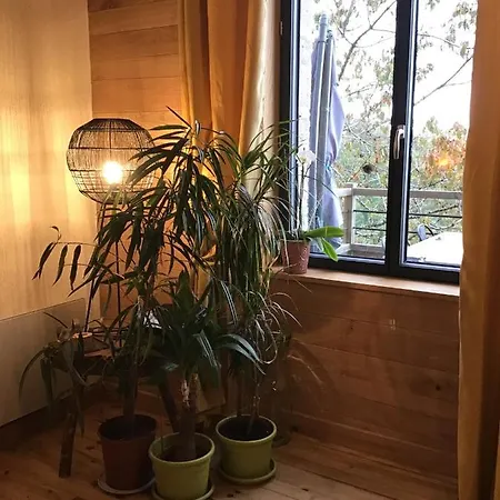 La Maquisarde - Nature- Holiday home