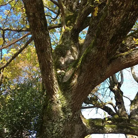 La Maquisarde - Nature- *